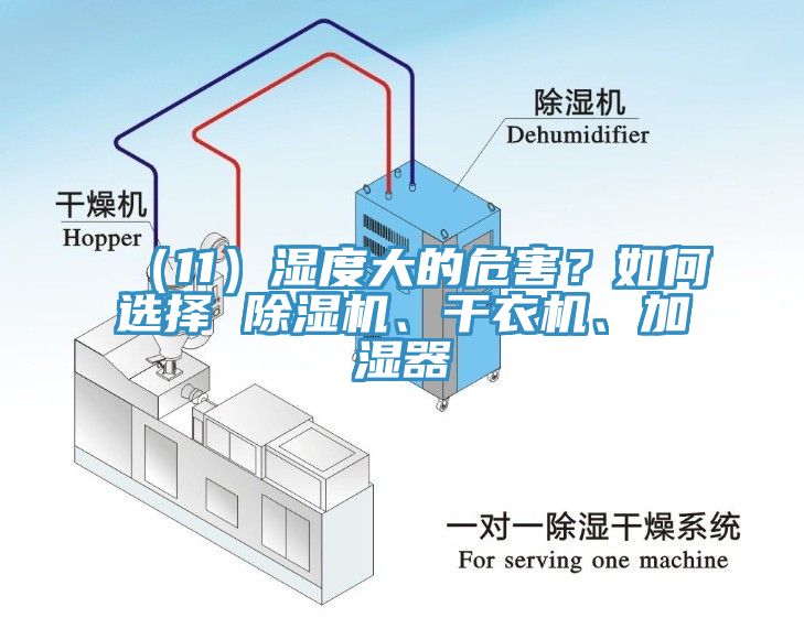 （11）濕度大的危害？如何選擇 除濕機(jī)、干衣機(jī)、加濕器